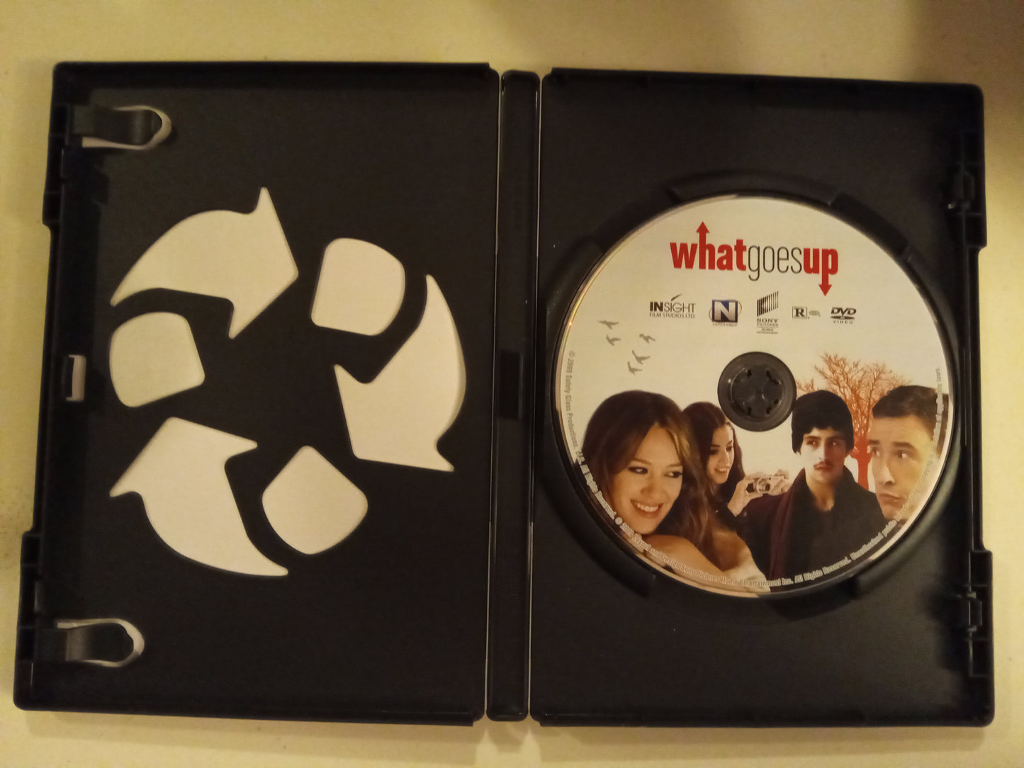 What Goes Up, DVD Movie, Steve Coogan Widescreen, Rated R, USED