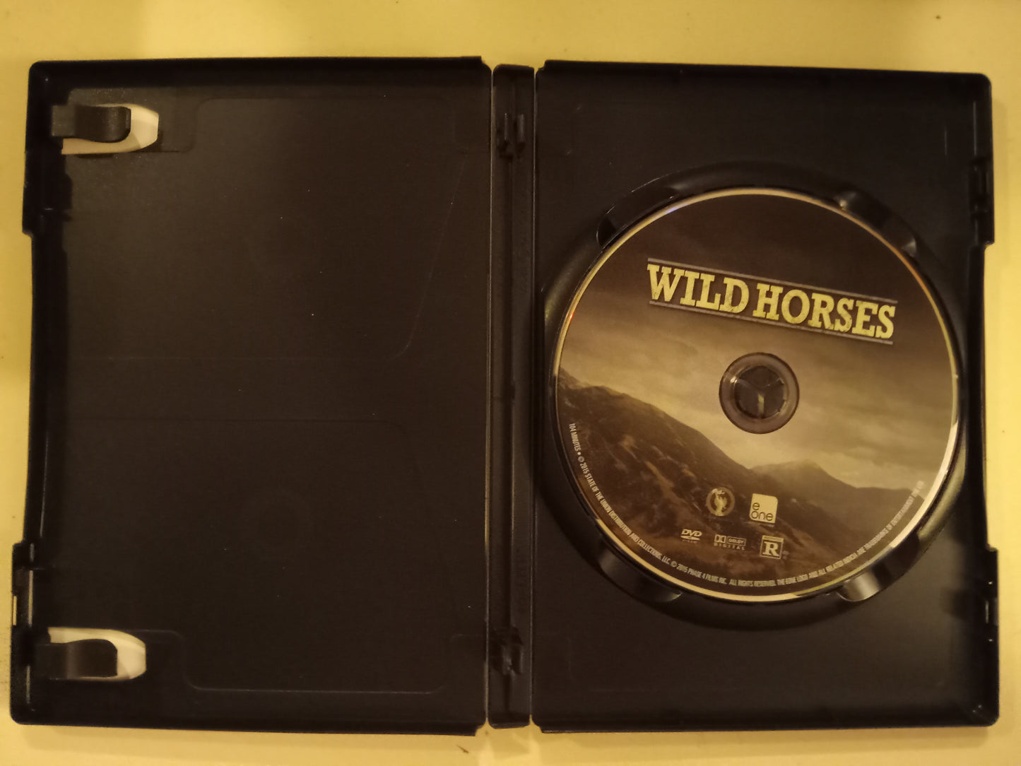 Wild Horses, DVD Movie, James Franco Widescreen, Rated R, USED