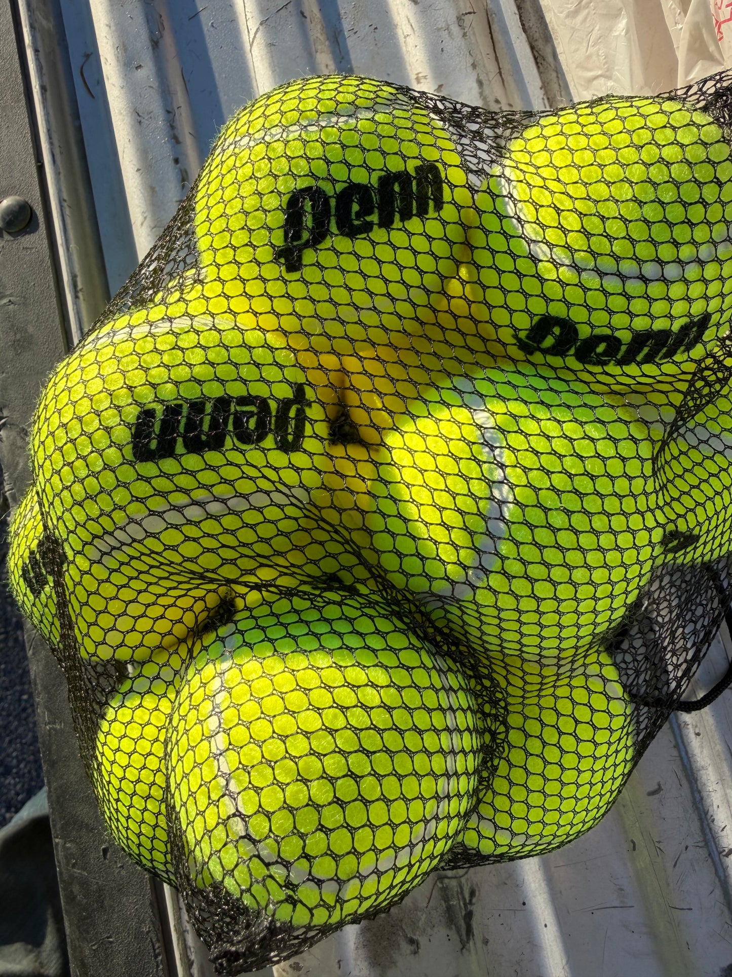 Penn tennis balls new in reusable mesh bag 12 balls …