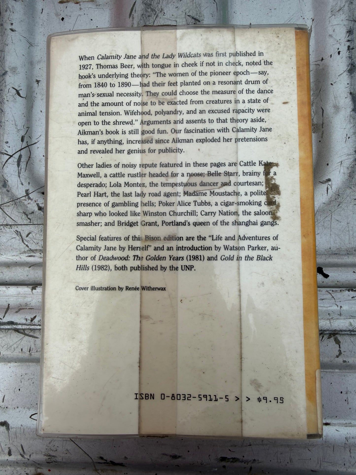 Calamity Jane and the wild cats of the west book …