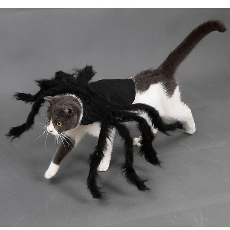 Spider Halloween Costume for Dog Cat Pets NEW