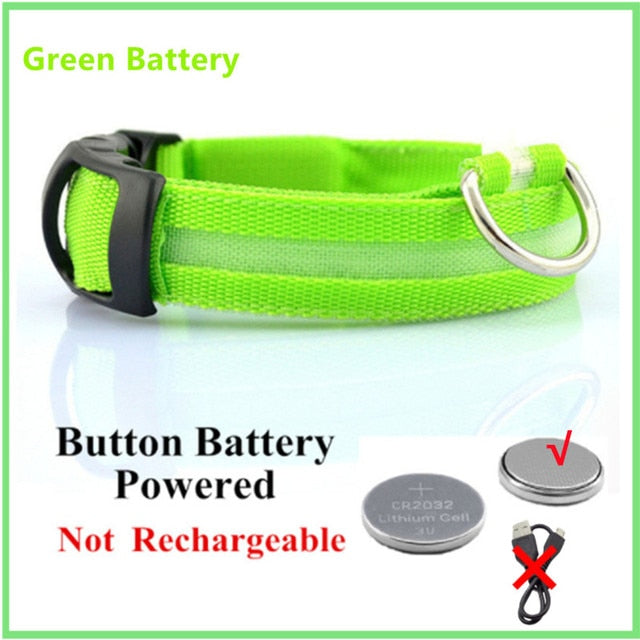 LED Glowing Adjustable Dog Collar Street Safety from Autos, Outdoors Never Lost NEW