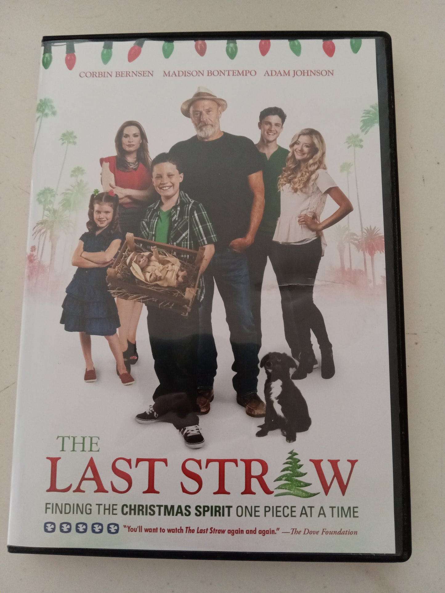 The Last Straw, DVD Movie, Corbin Bernsen Fullscreen, Rated PG, USED