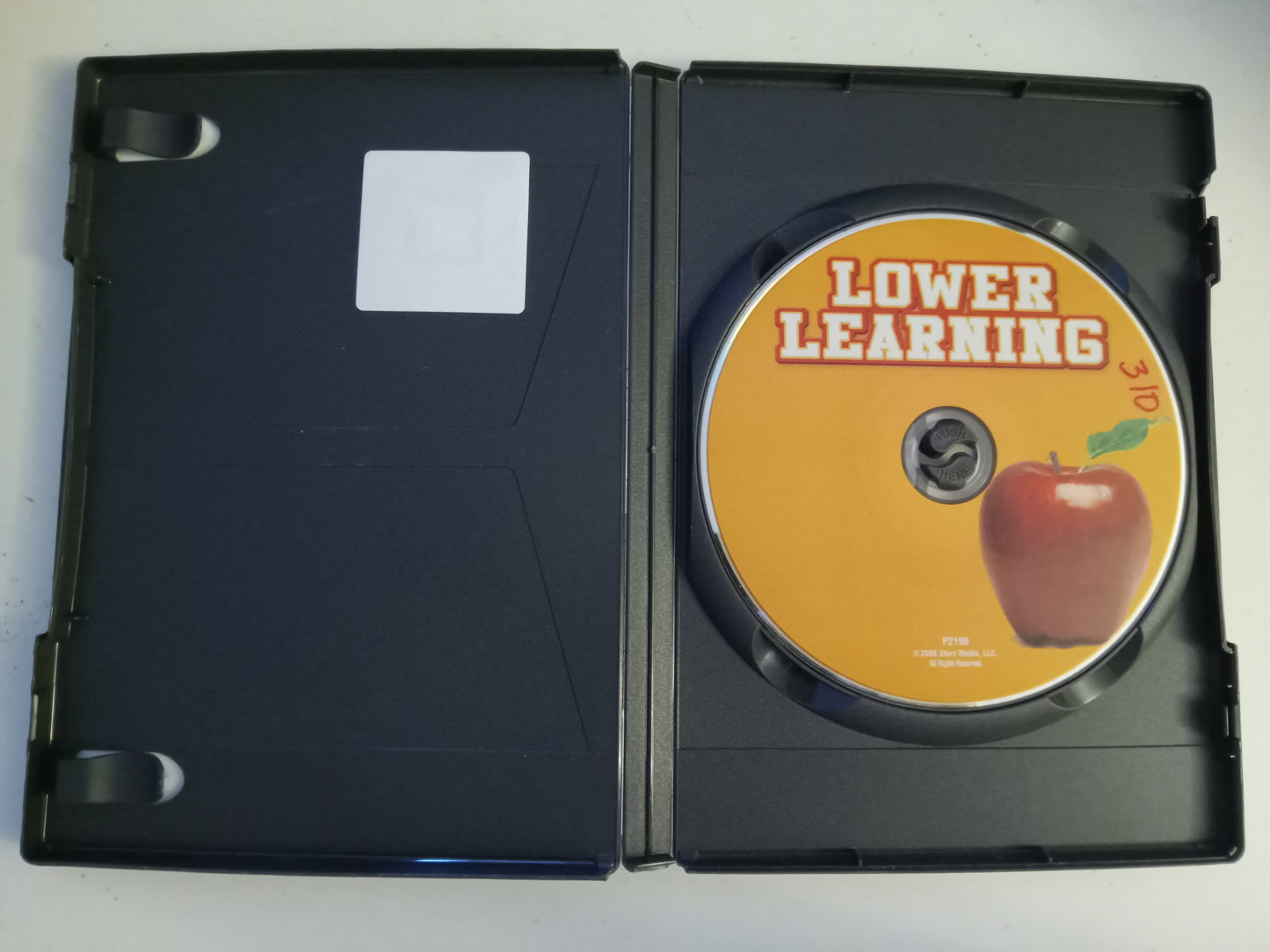 Lower Learning, DVD Movie, Jason Biggs Widescreen, Rated R, USED