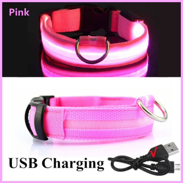 LED Glowing Adjustable Dog Collar Street Safety from Autos, Outdoors Never Lost NEW