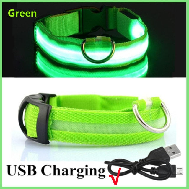 LED Glowing Adjustable Dog Collar Street Safety from Autos, Outdoors Never Lost NEW