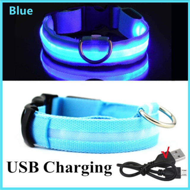 LED Glowing Adjustable Dog Collar Street Safety from Autos, Outdoors Never Lost NEW