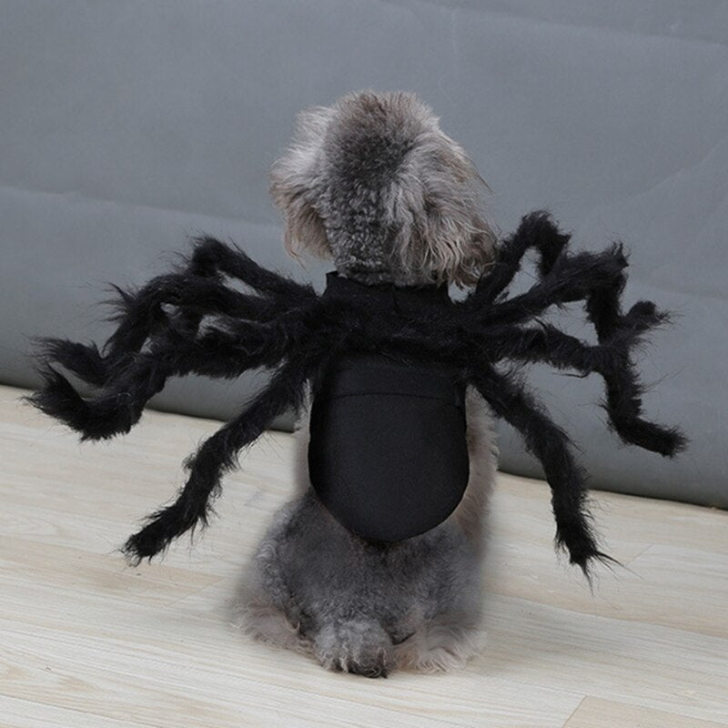 Spider Halloween Costume for Dog Cat Pets NEW