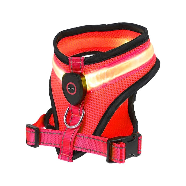 LED Light Glowing Dog Harness Adjustable, Street Safety from Autos, Outdoors Never Lost NEW