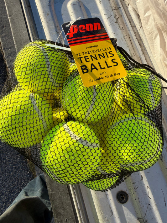 Penn tennis balls new in reusable mesh bag 12 balls …