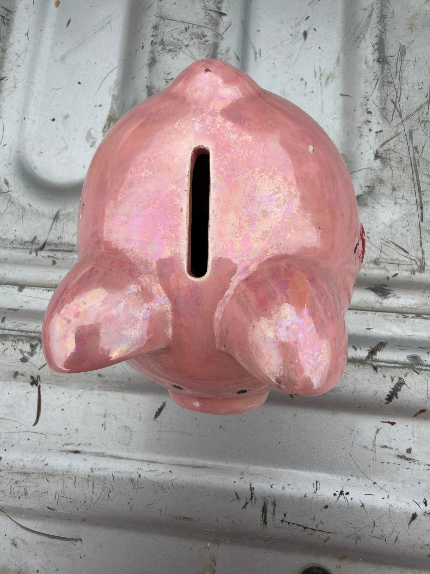 Las Vegas souvenire piggy bank pink pig new …