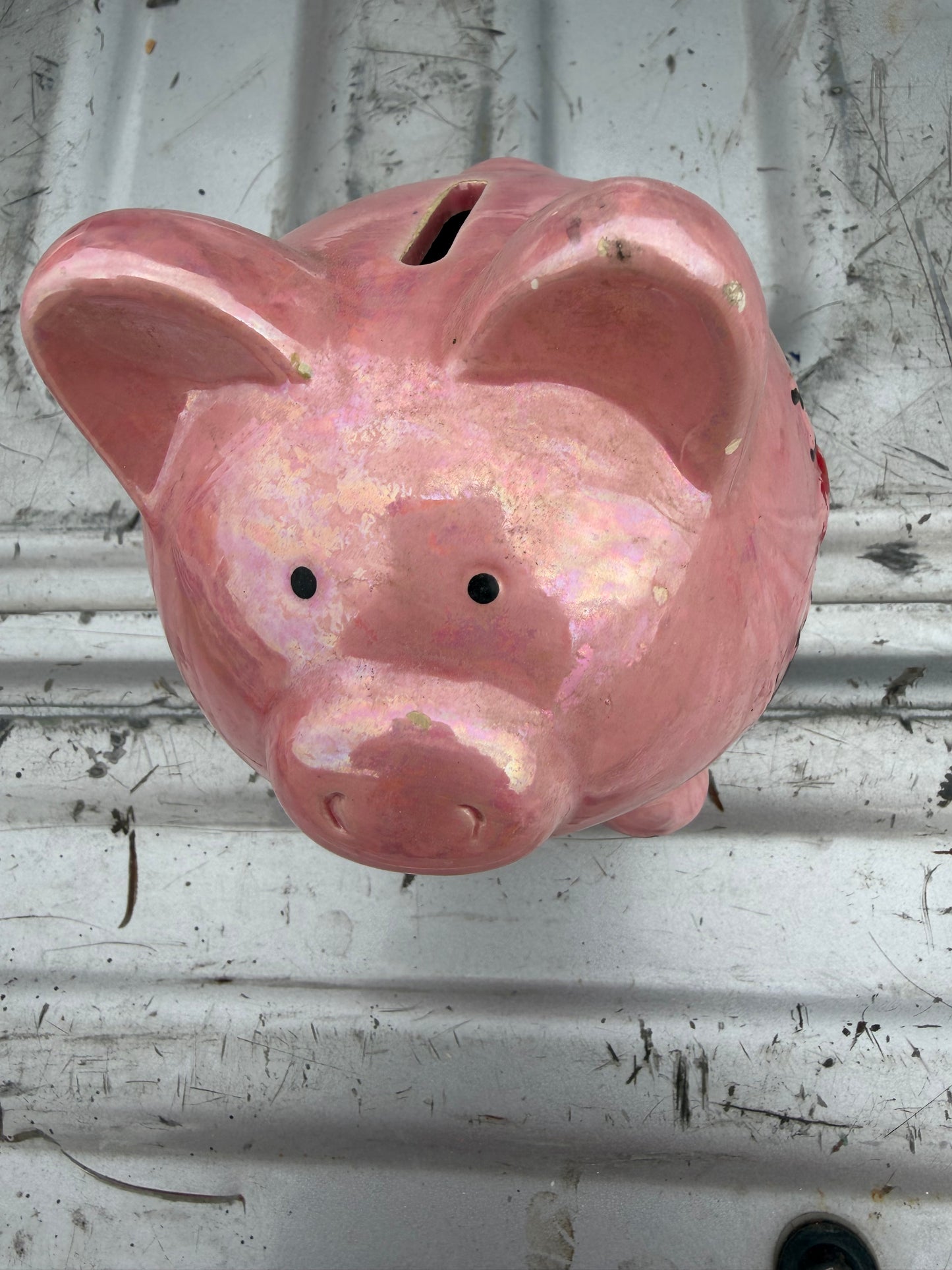 Las Vegas souvenire piggy bank pink pig new …