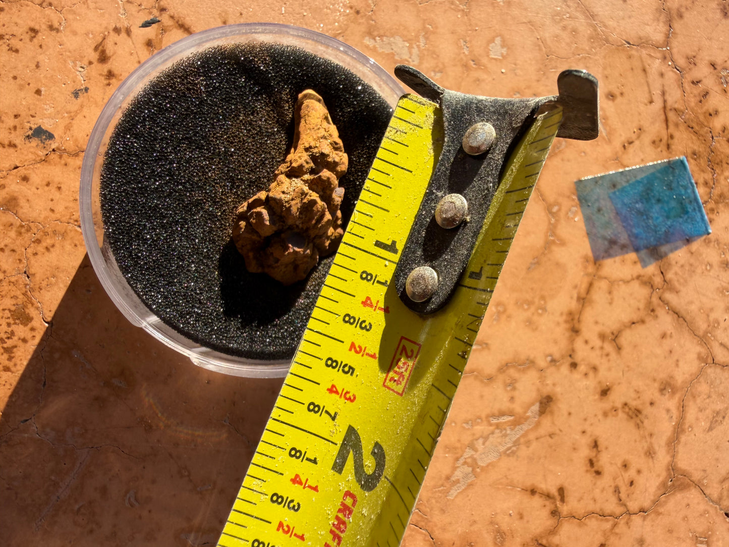 Real dinosaur poop. In a container petrified poop antique…