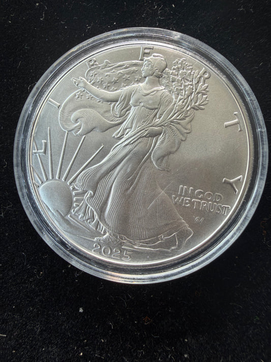 2025 silver dollar coin 99.9 pure silver 1 ounce United States of America coin Liberty silver new …