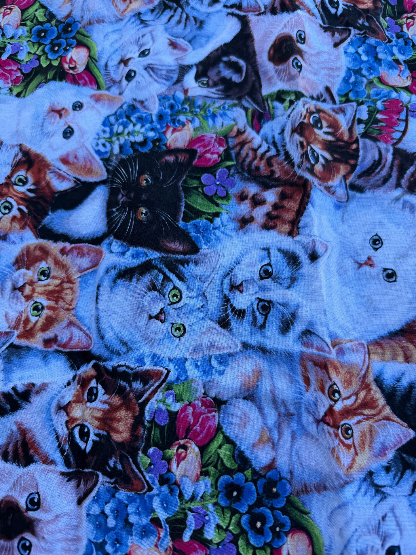 Kitty kitten cats pillow case 22x15 inch long homemade only one…