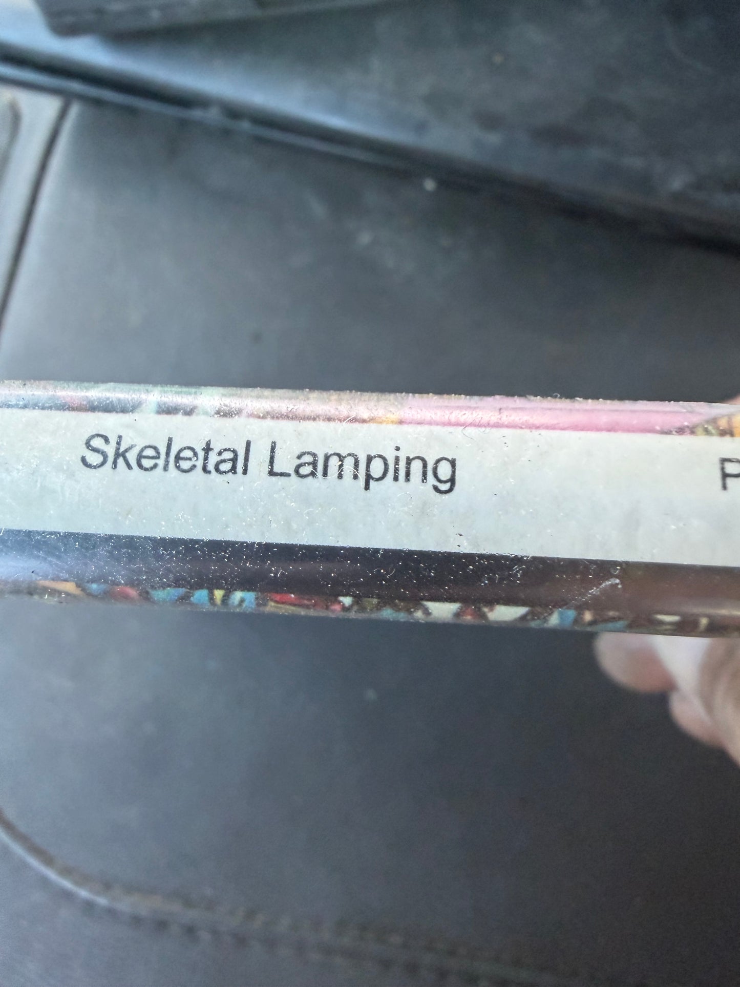 Skeletal Lamping. Music cd-rom. Audio recording cd …