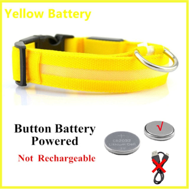 LED Glowing Adjustable Dog Collar Street Safety from Autos, Outdoors Never Lost NEW