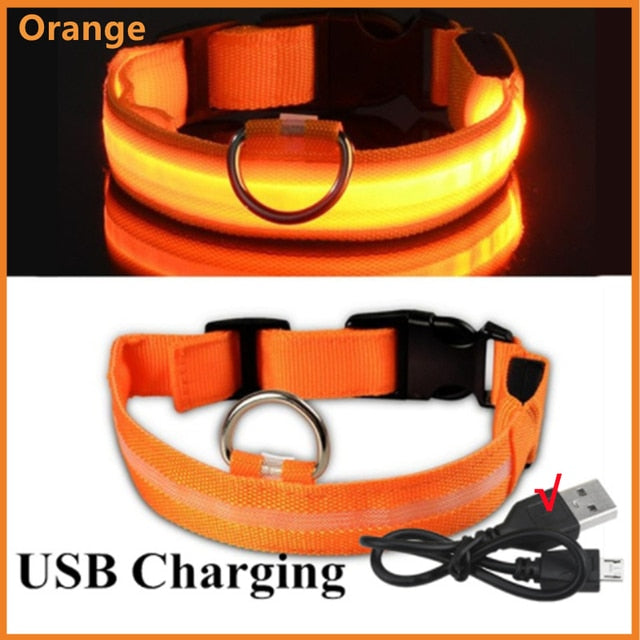 LED Glowing Adjustable Dog Collar Street Safety from Autos, Outdoors Never Lost NEW