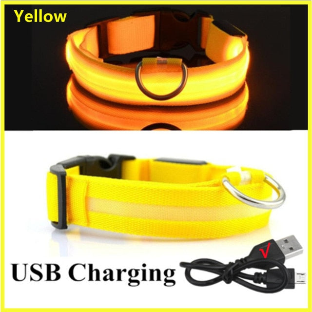 LED Glowing Adjustable Dog Collar Street Safety from Autos, Outdoors Never Lost NEW