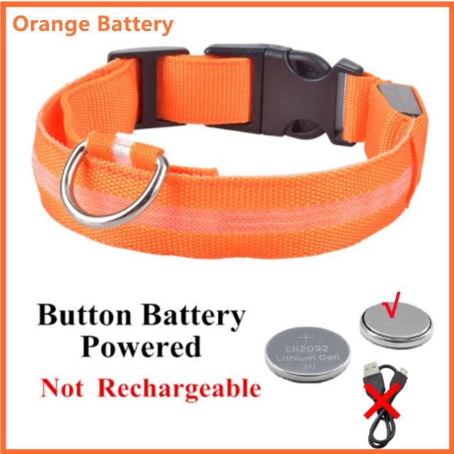 LED Glowing Adjustable Dog Collar Street Safety from Autos, Outdoors Never Lost NEW
