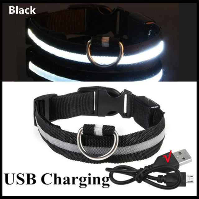 LED Glowing Adjustable Dog Collar Street Safety from Autos, Outdoors Never Lost NEW