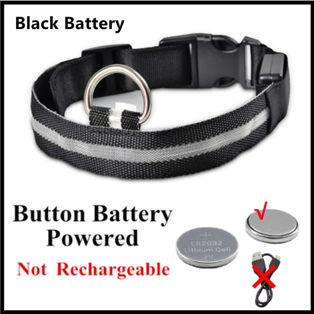 LED Glowing Adjustable Dog Collar Street Safety from Autos, Outdoors Never Lost NEW
