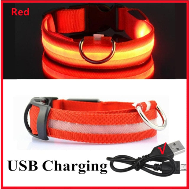 LED Glowing Adjustable Dog Collar Street Safety from Autos, Outdoors Never Lost NEW