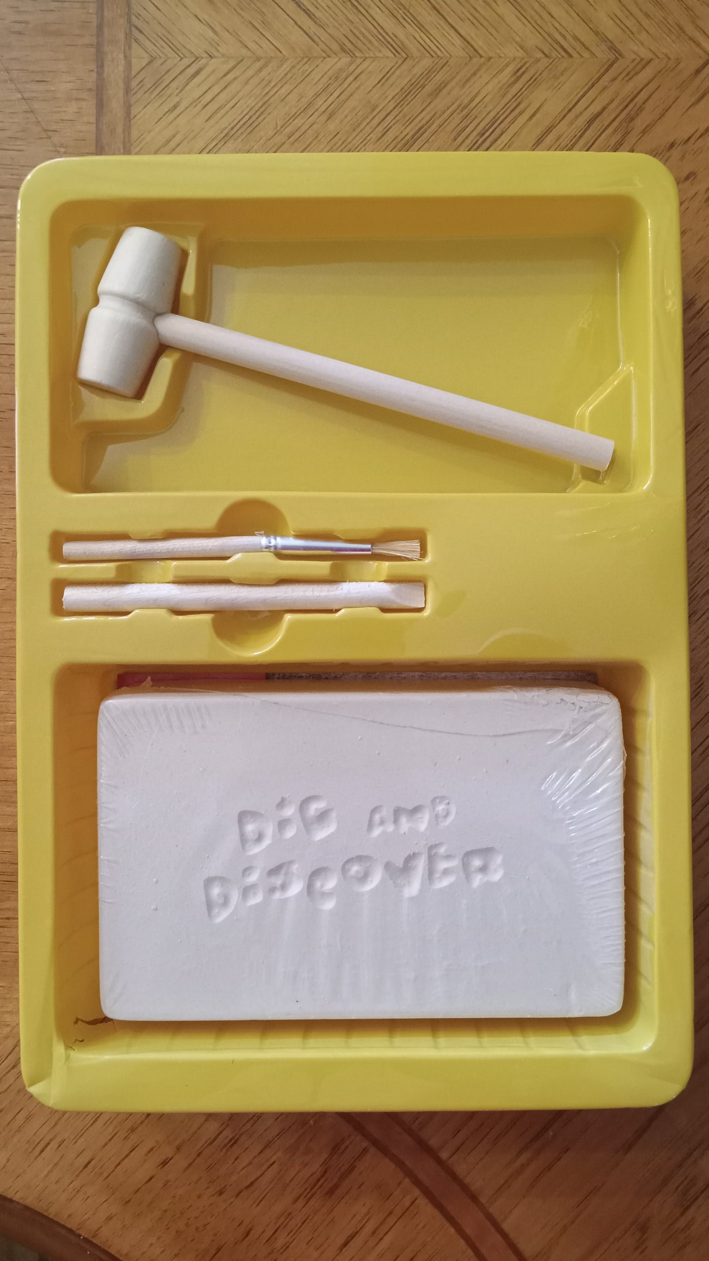 EXCAVATION ACTIVITY Dino Dinosaur Skeleton Kit STEM Dig Toy NEW