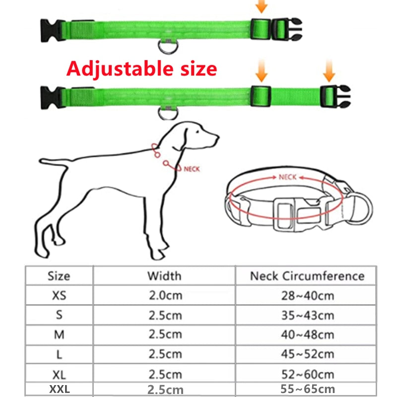 LED Glowing Adjustable Dog Collar Street Safety from Autos, Outdoors Never Lost NEW