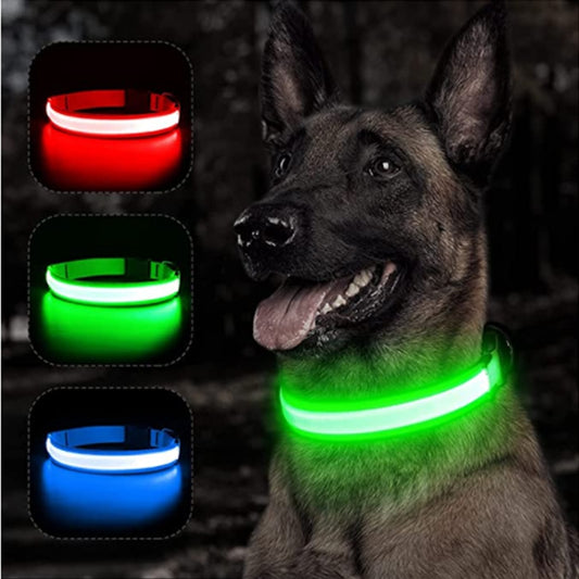 LED Glowing Adjustable Dog Collar Street Safety from Autos, Outdoors Never Lost NEW