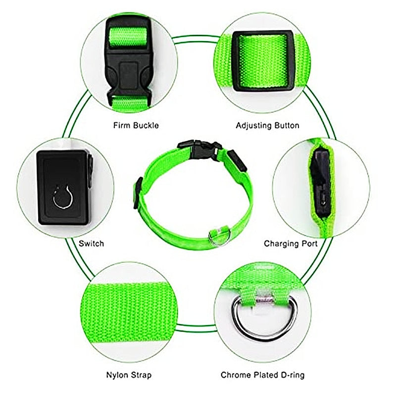 LED Glowing Adjustable Dog Collar Street Safety from Autos, Outdoors Never Lost NEW