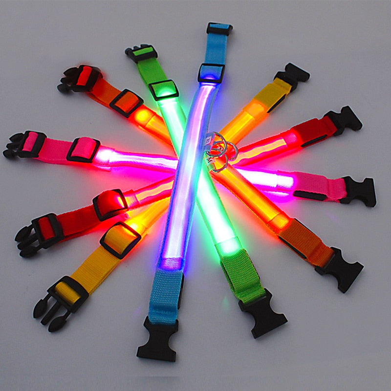 LED Glowing Adjustable Dog Collar Street Safety from Autos, Outdoors Never Lost NEW