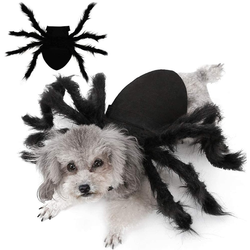 Spider Halloween Costume for Dog Cat Pets NEW