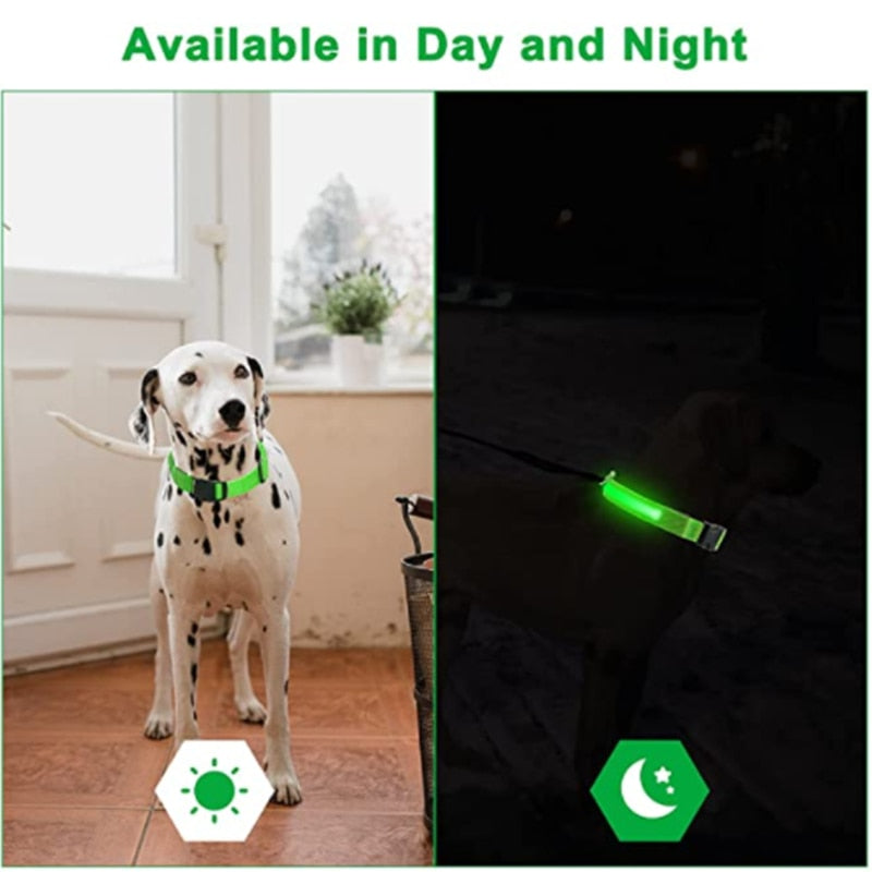 LED Glowing Adjustable Dog Collar Street Safety from Autos, Outdoors Never Lost NEW